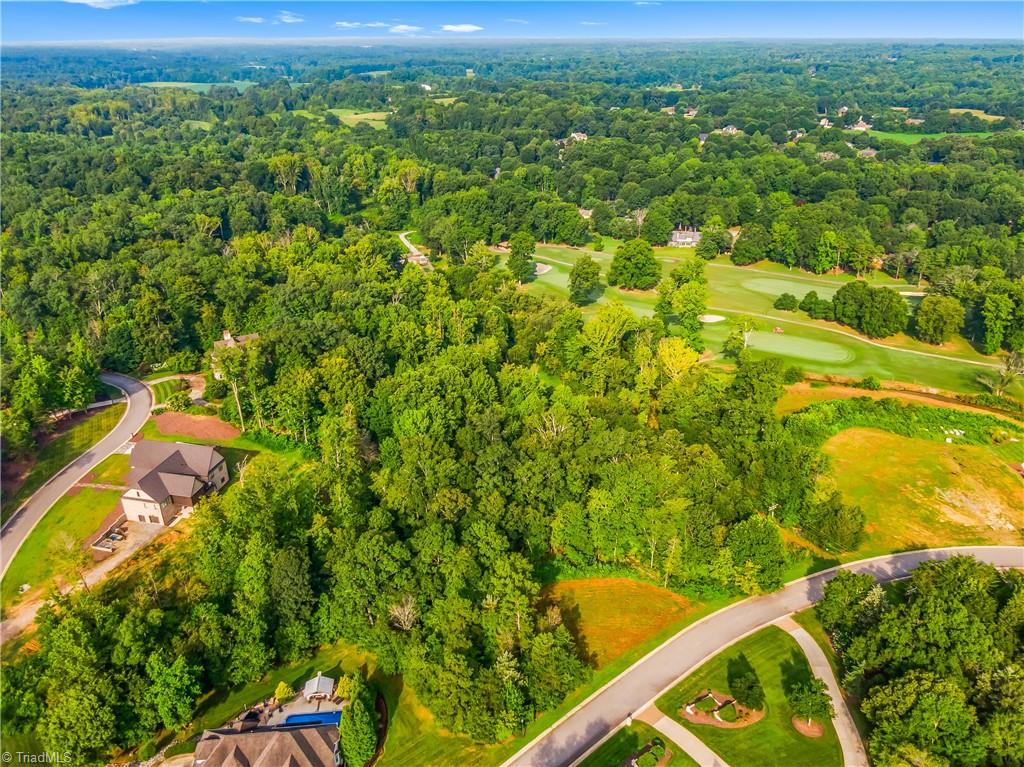 163 North Emily Court High Point, NC 27265 - Photo 4 of 13