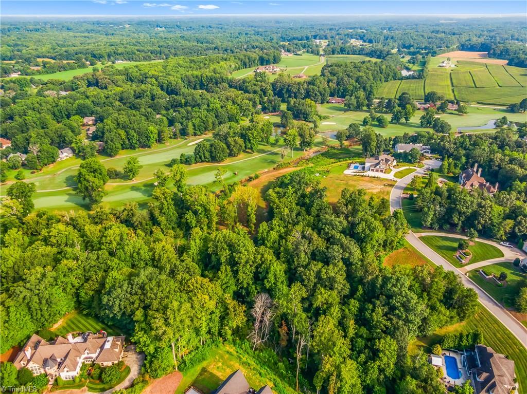 163 North Emily Court High Point, NC 27265 - Photo 7 of 13