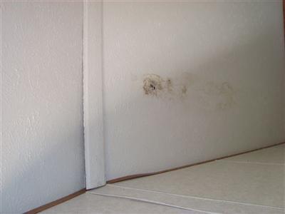 2850 1 Mile Road Sears, MI 49679 - Photo 5 of 9 Additional Photo