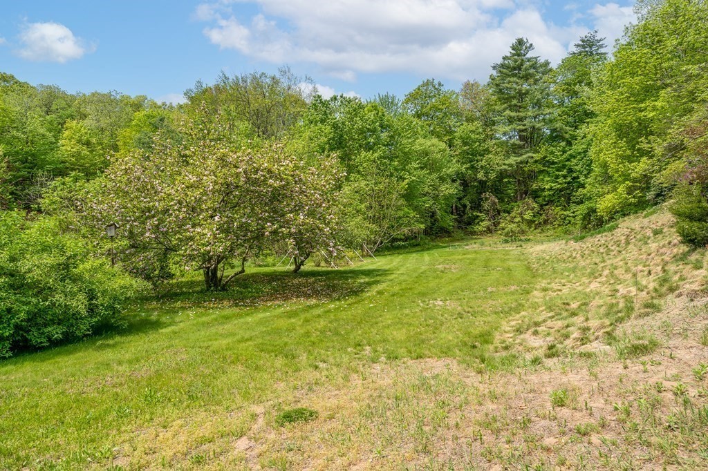 32 Middle Road Southampton, MA 01073 - Photo 38 of 39 a view of yard with green space