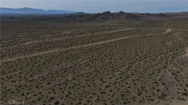 a view of a dry yard