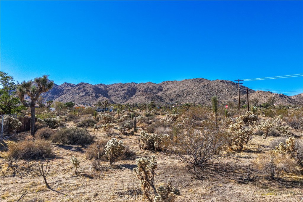 7505 Sherwood Road Joshua Tree, CA 92252 - Photo 8 of 12 Gallery Image 8