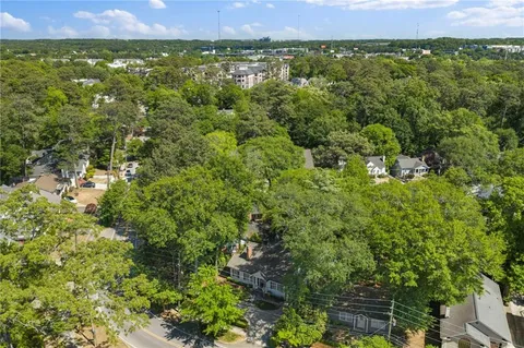 a view of a lush green field with lots of plants in it