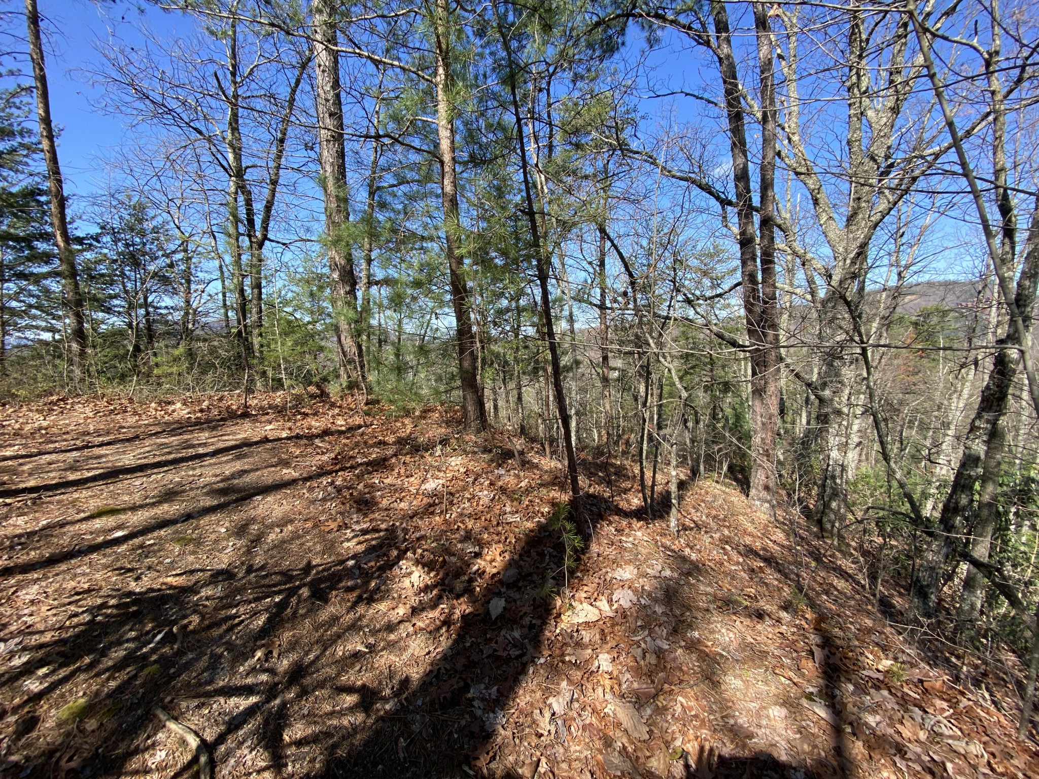0 South Clear Fork Road Sevierville, TN 37862 - Photo 7 of 22 Gallery Image 7