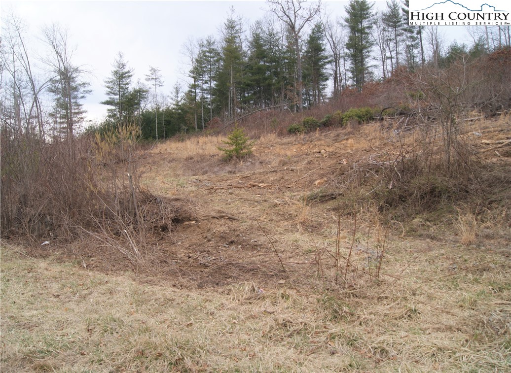 Dewitt Road Sparta, NC 28675 - Photo 1 of 9 Gallery Image 1