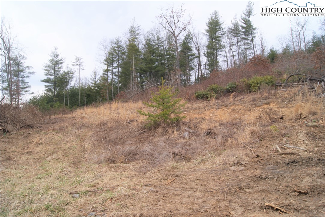 Dewitt Road Sparta, NC 28675 - Photo 2 of 9 Gallery Image 2