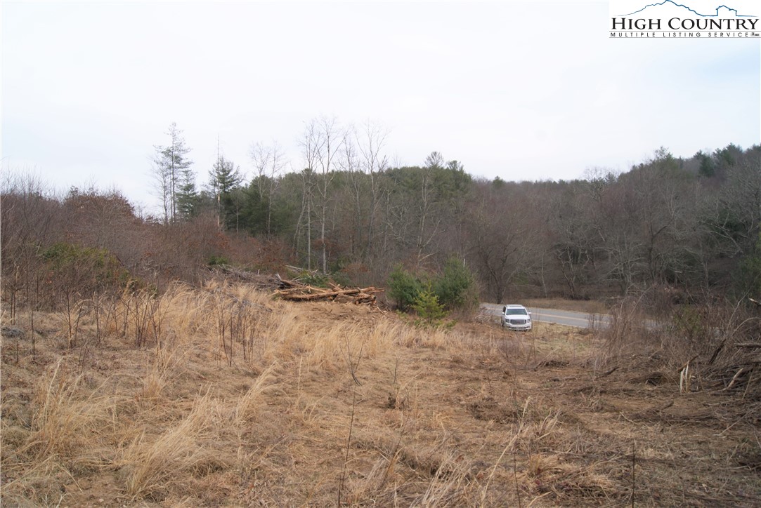Dewitt Road Sparta, NC 28675 - Photo 3 of 9 Gallery Image 3