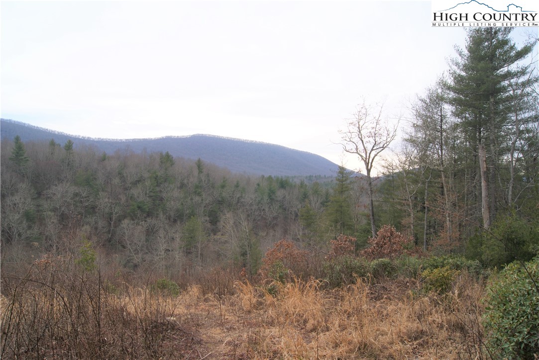 Dewitt Road Sparta, NC 28675 - Photo 4 of 9 Gallery Image 4