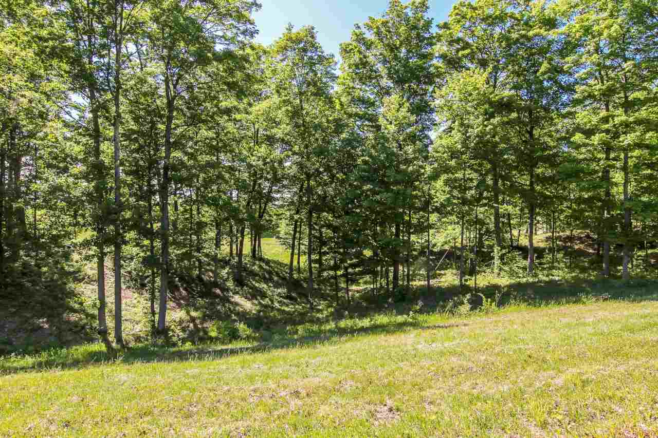 12 Heather Ridge Trail Beulah, MI 49617 - Photo 3 of 8