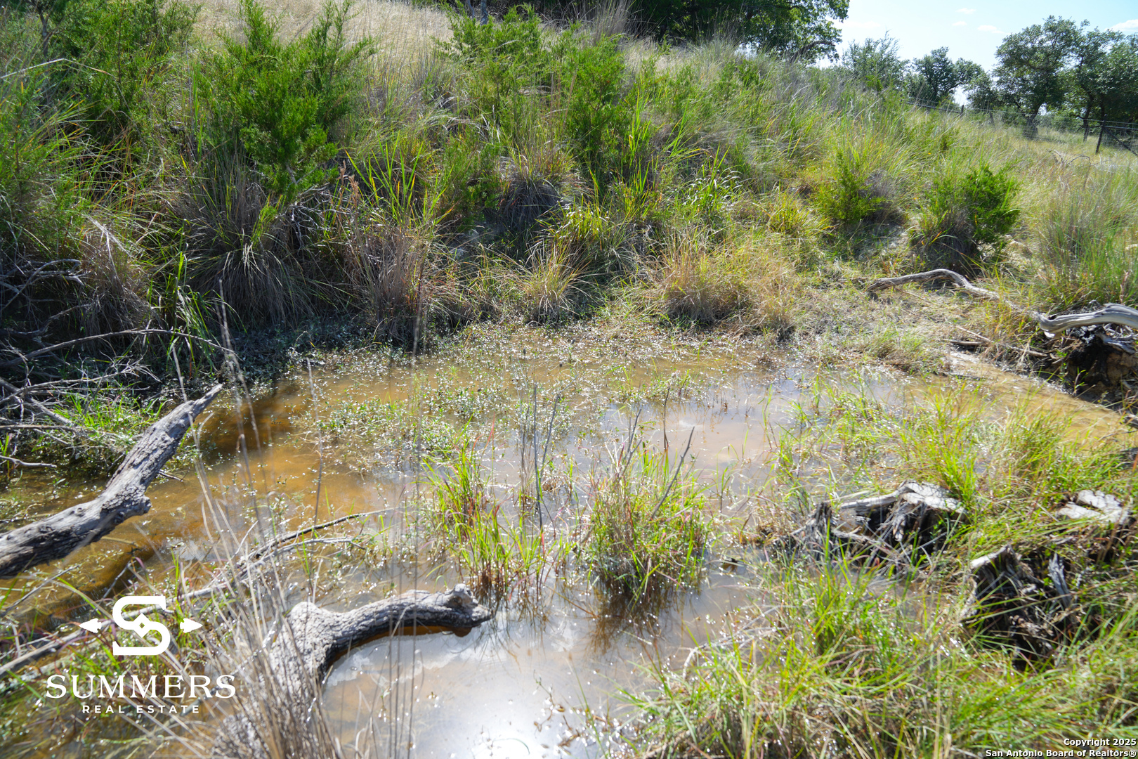 502 Waring Welfare Road Boerne, TX 78006 - Photo 12 of 35