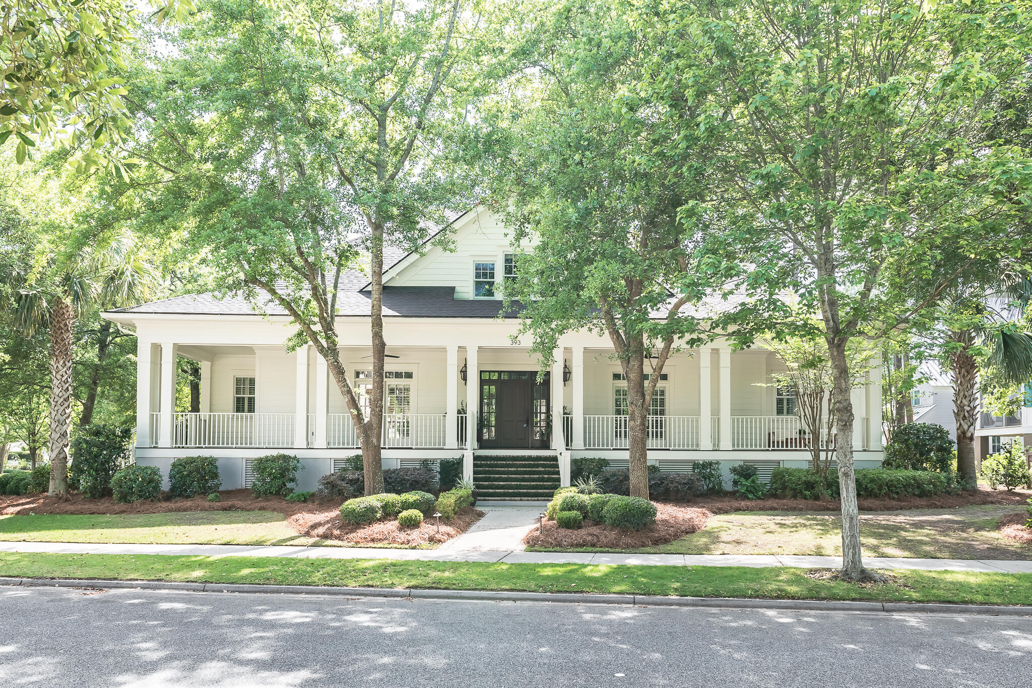 393 Ralston Creek Street Daniel Island, SC 29492 - Photo 2 of 61 DSC_-48