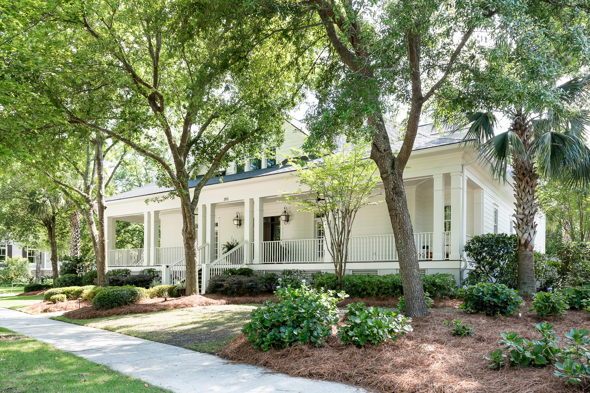 393 Ralston Creek Street Daniel Island, SC 29492 - Photo 60 of 61 DSC_-42