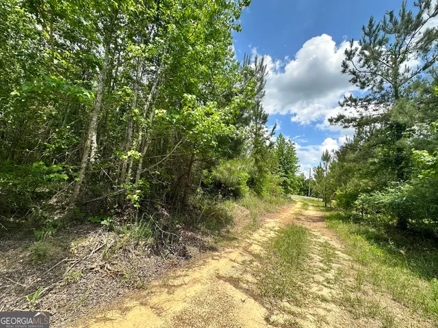 $212,500 | Lot 25 Rock Springs Road, Dublin, GA 31021