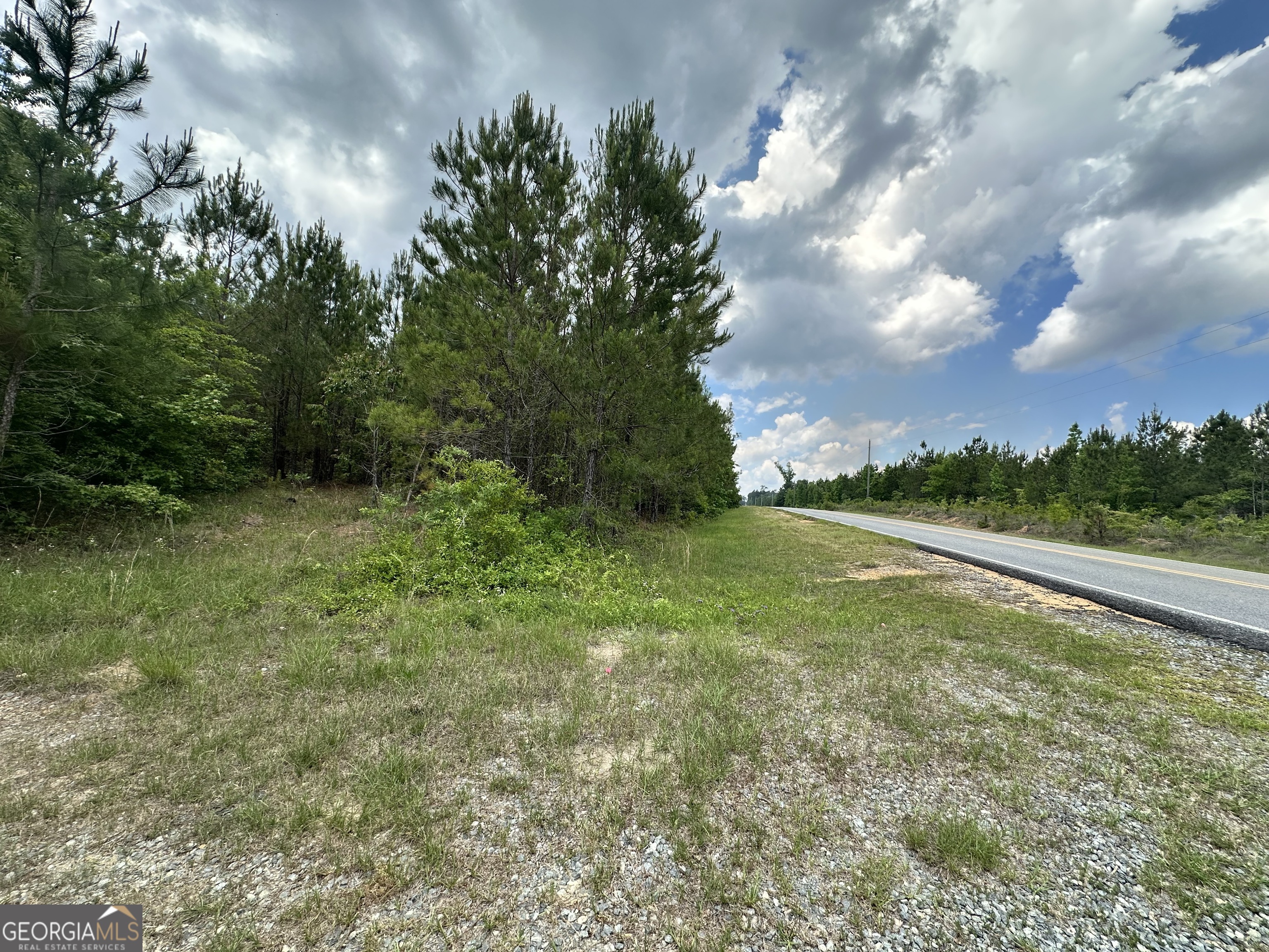1980 Rock Springs Road Dublin, GA 31021 - Photo 2 of 7