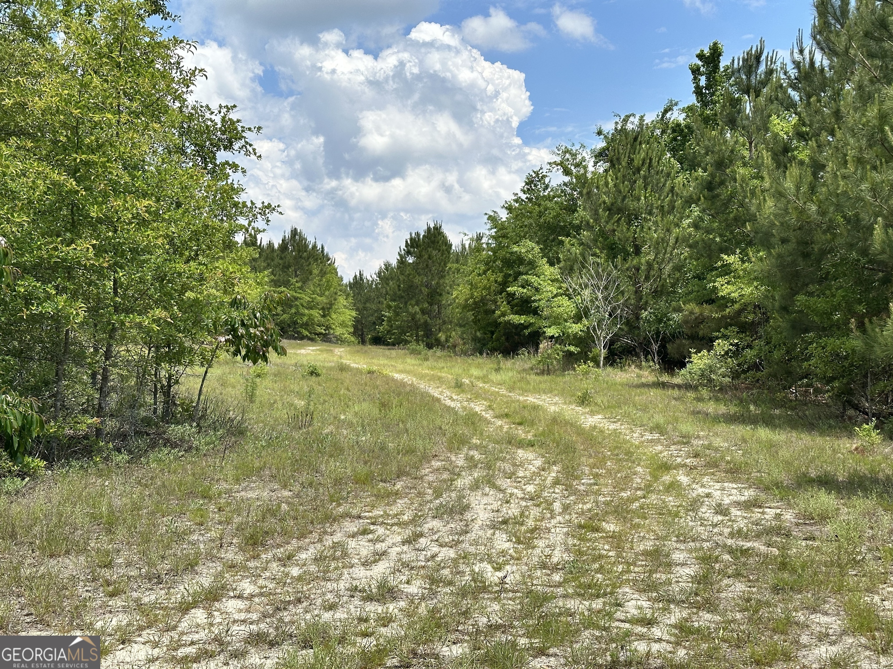 1980 Rock Springs Road Dublin, GA 31021 - Photo 5 of 7