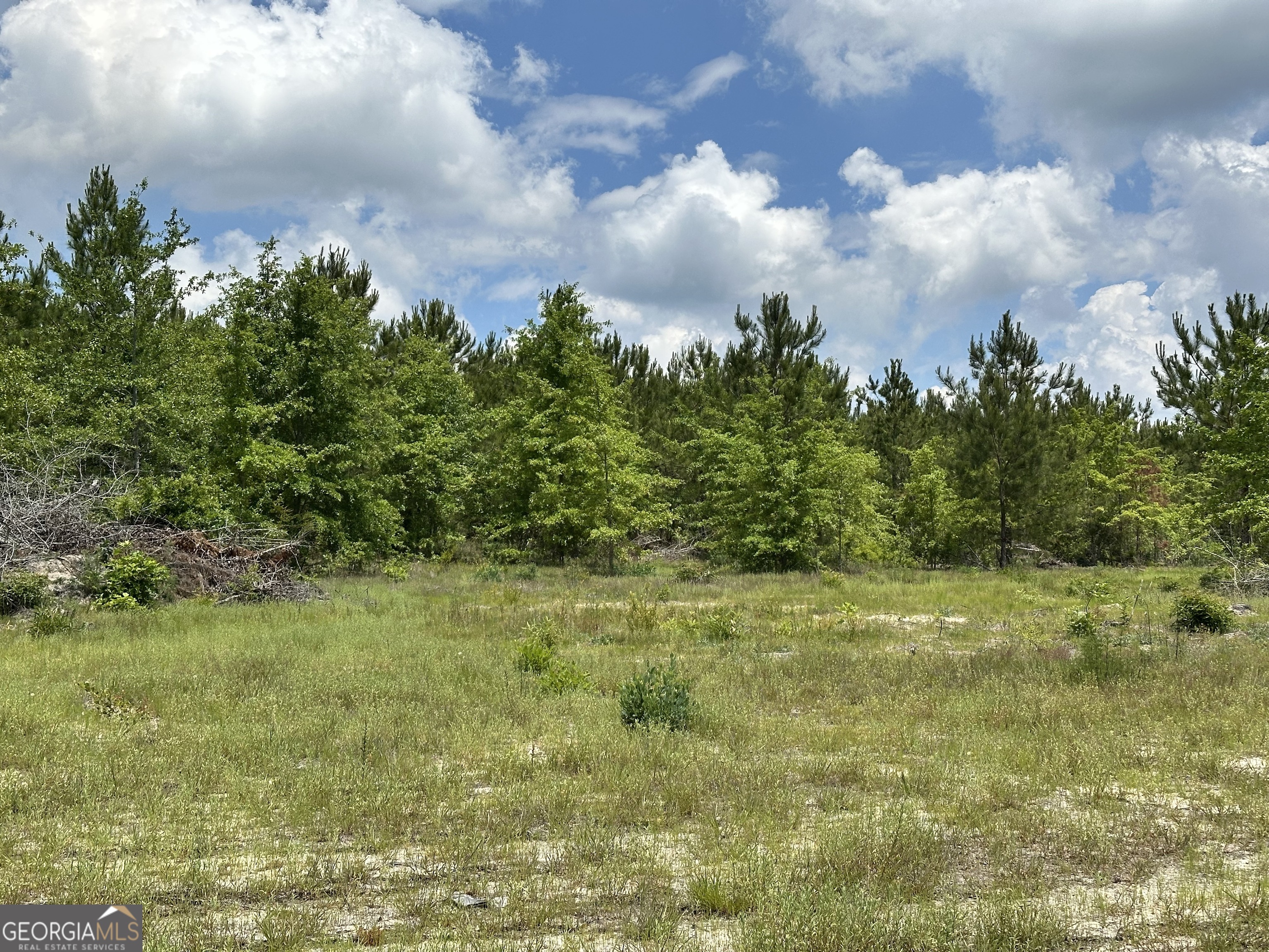 1980 Rock Springs Road Dublin, GA 31021 - Photo 6 of 7