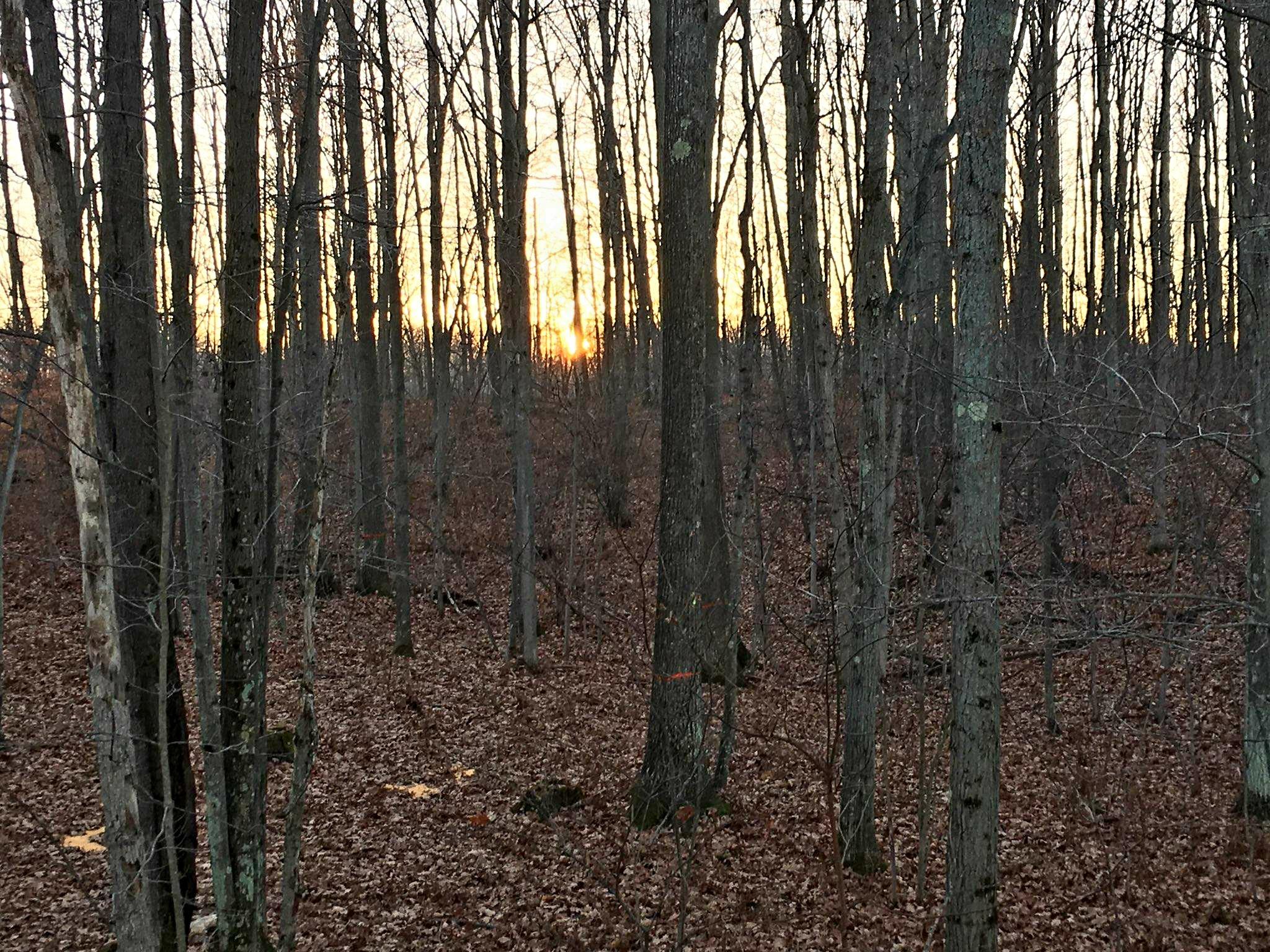 Wormwood Road Free Soil, MI 49411 - Photo 3 of 15 47 ACRE C