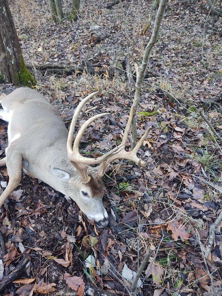 Wormwood Road Free Soil, MI 49411 - Photo 4 of 15 36 ACRE BUCK 1