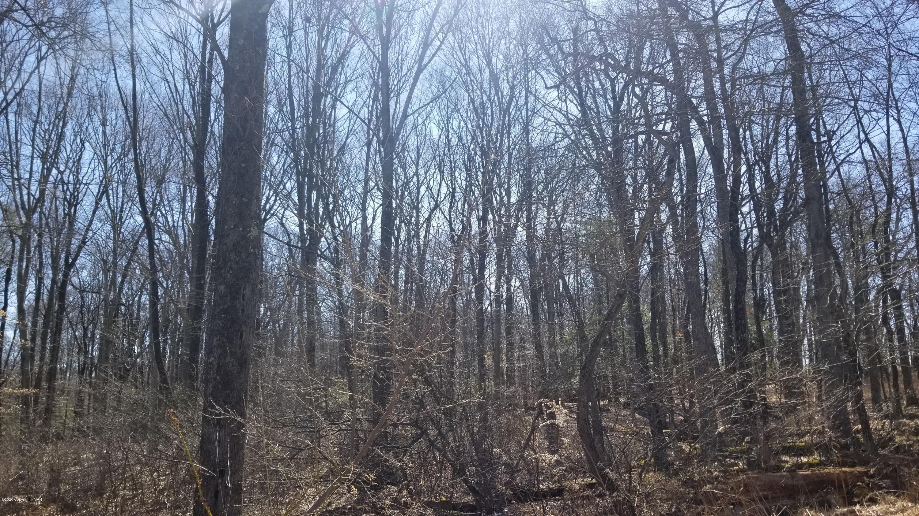 1571 Totts Gap Road Stroudsburg, PA 18360 - Photo 8 of 8 20200314_114005