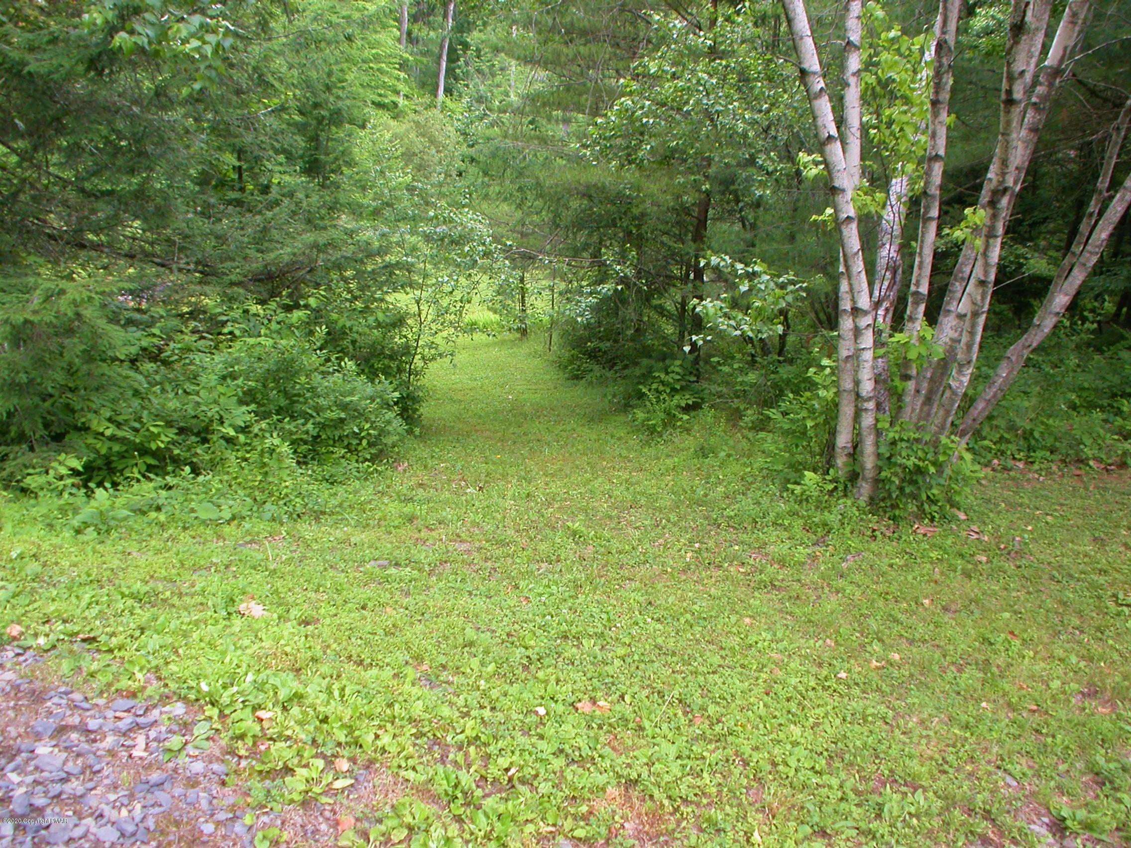 384 Sawmill Road Stroudsburg, PA 18360 - Photo 82 of 83 Path to Lower Field