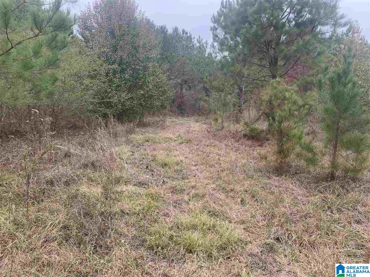 0 Homestead Drive, Unit 1 Springville, AL 35146 - Photo 23 of 32