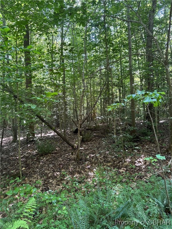 5.7-ac Dutton Road Gloucester, VA 23061 - Photo 8 of 21