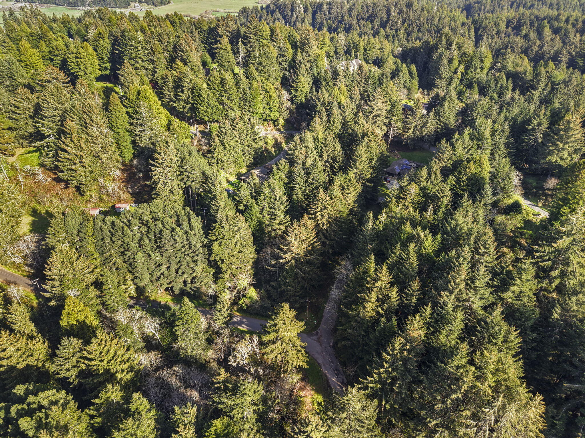 6911 Vista Road Eureka, CA 95503 - Photo 3 of 7