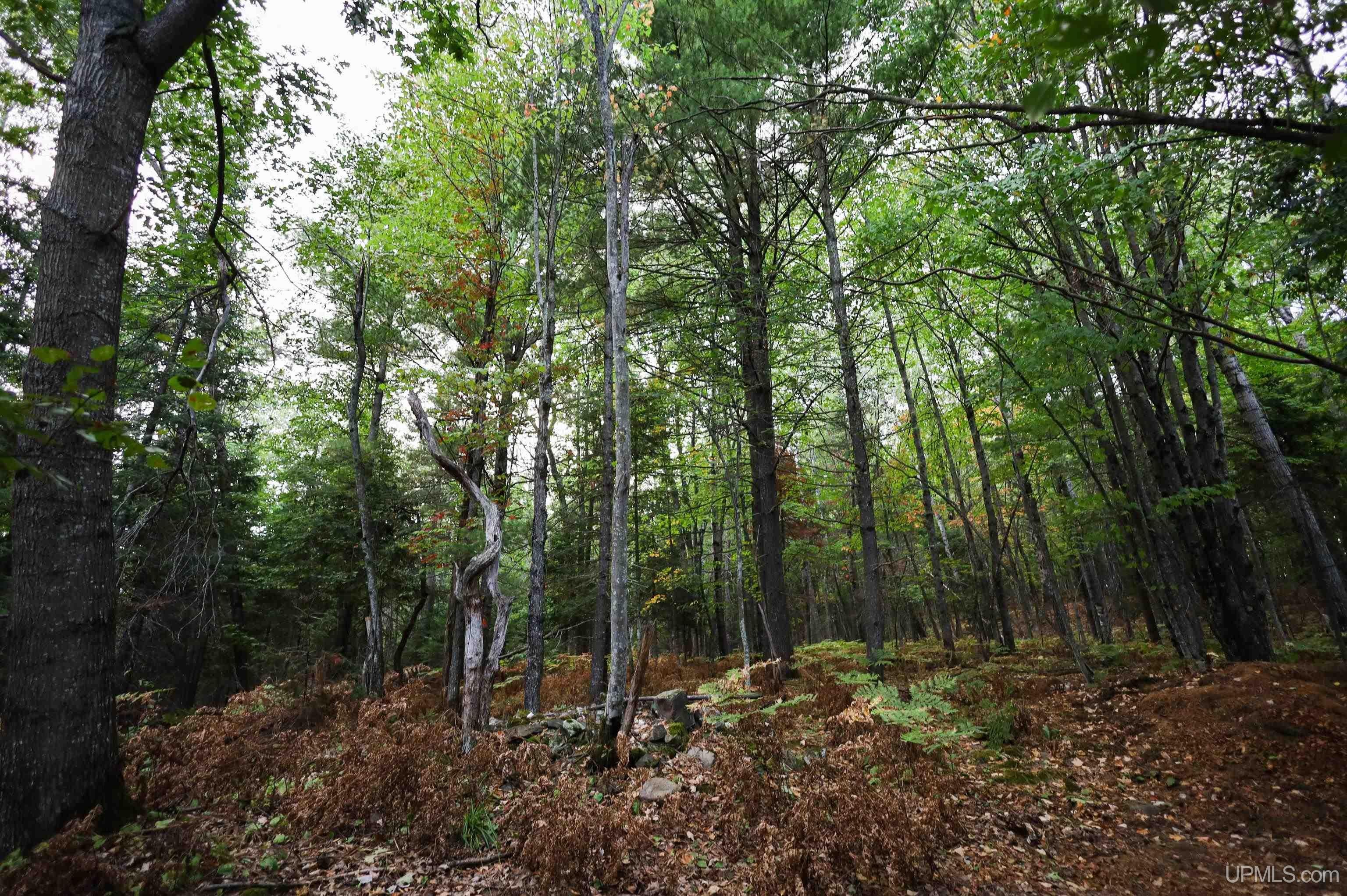 118 Johnson Road Negaunee, MI 49866 - Photo 64 of 80 Gallery Image 64