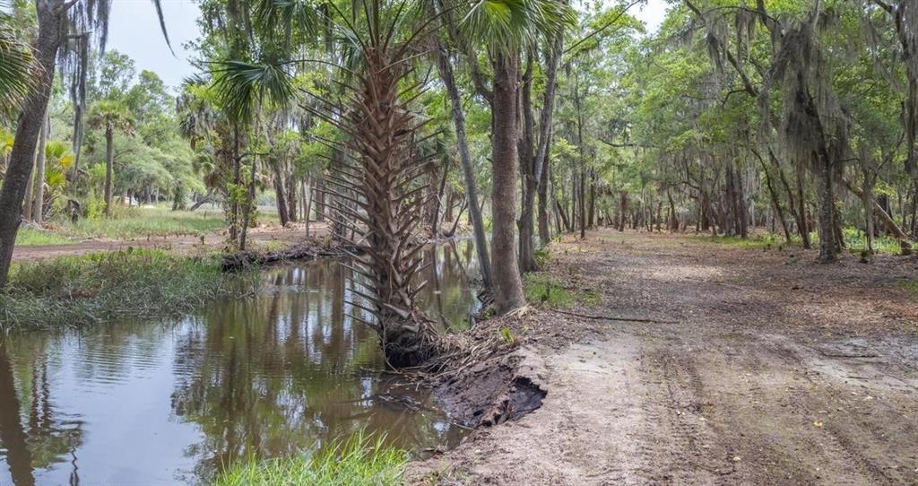 7149 Fitzpatrick Lane Jacksonville, FL 32226 - Photo 30 of 69