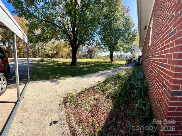 a view of a yard with plants and trees