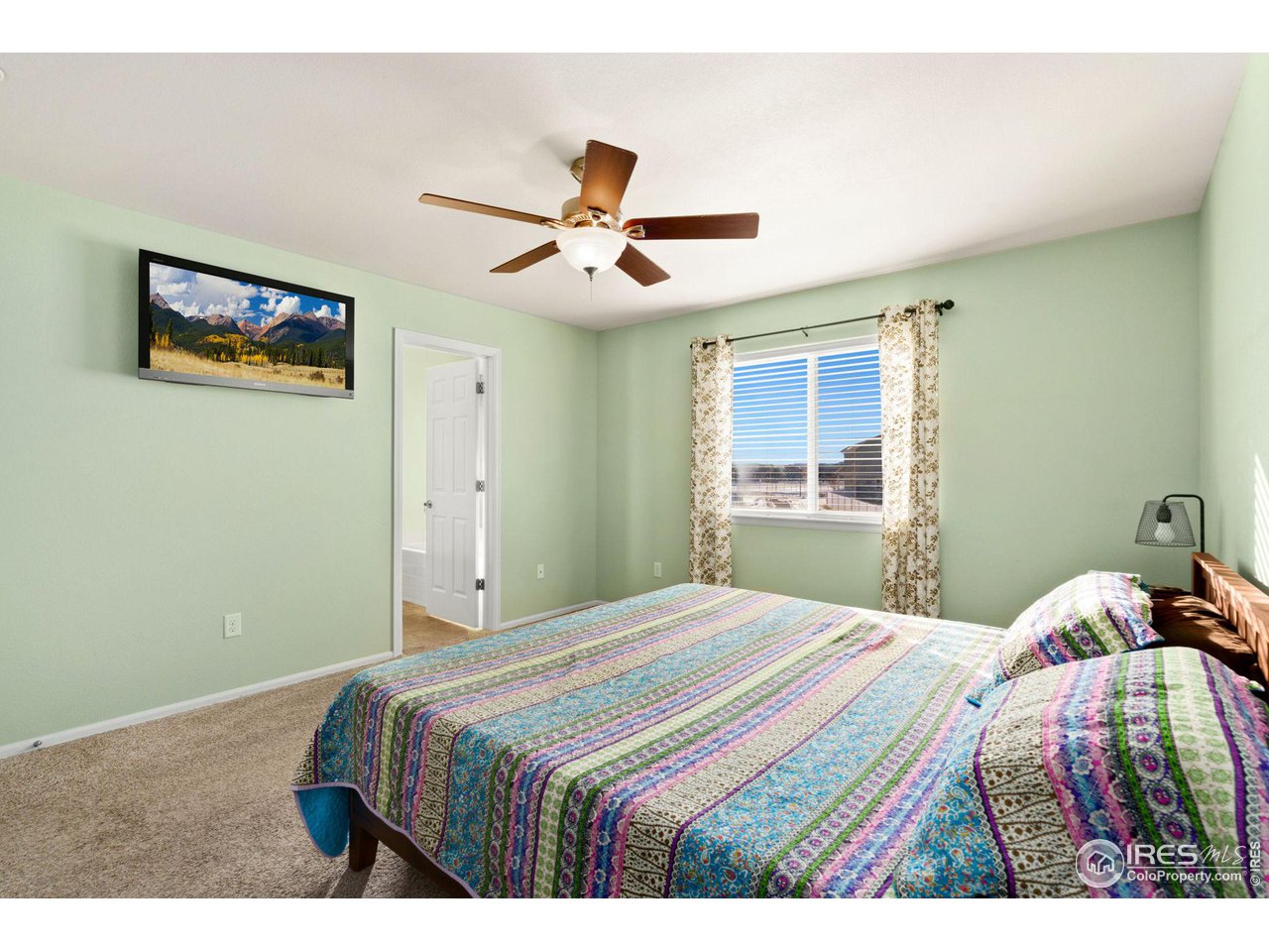 211 Windflower Way Severance, CO 80550 - Photo 15 of 27