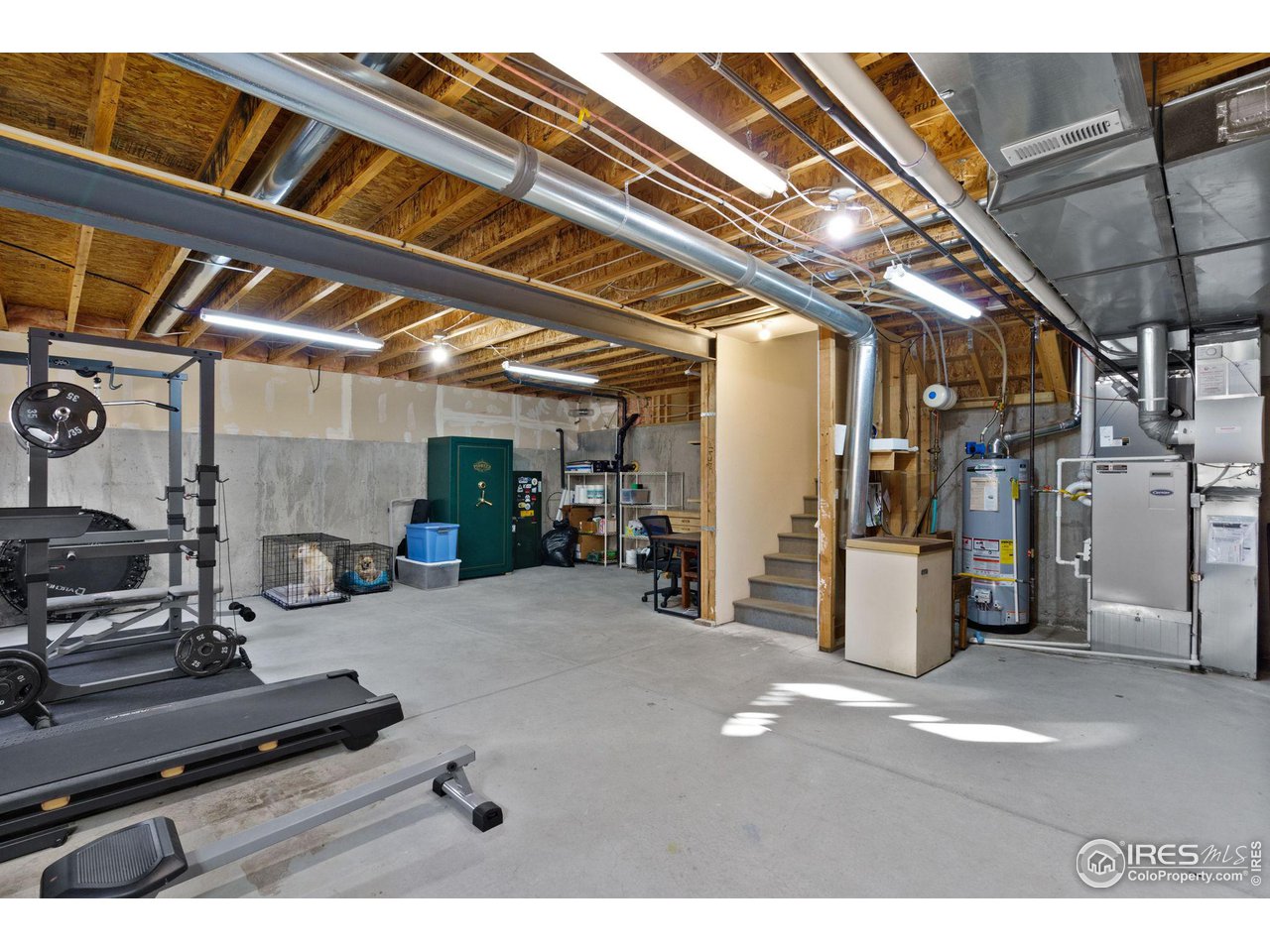 211 Windflower Way Severance, CO 80550 - Photo 20 of 27