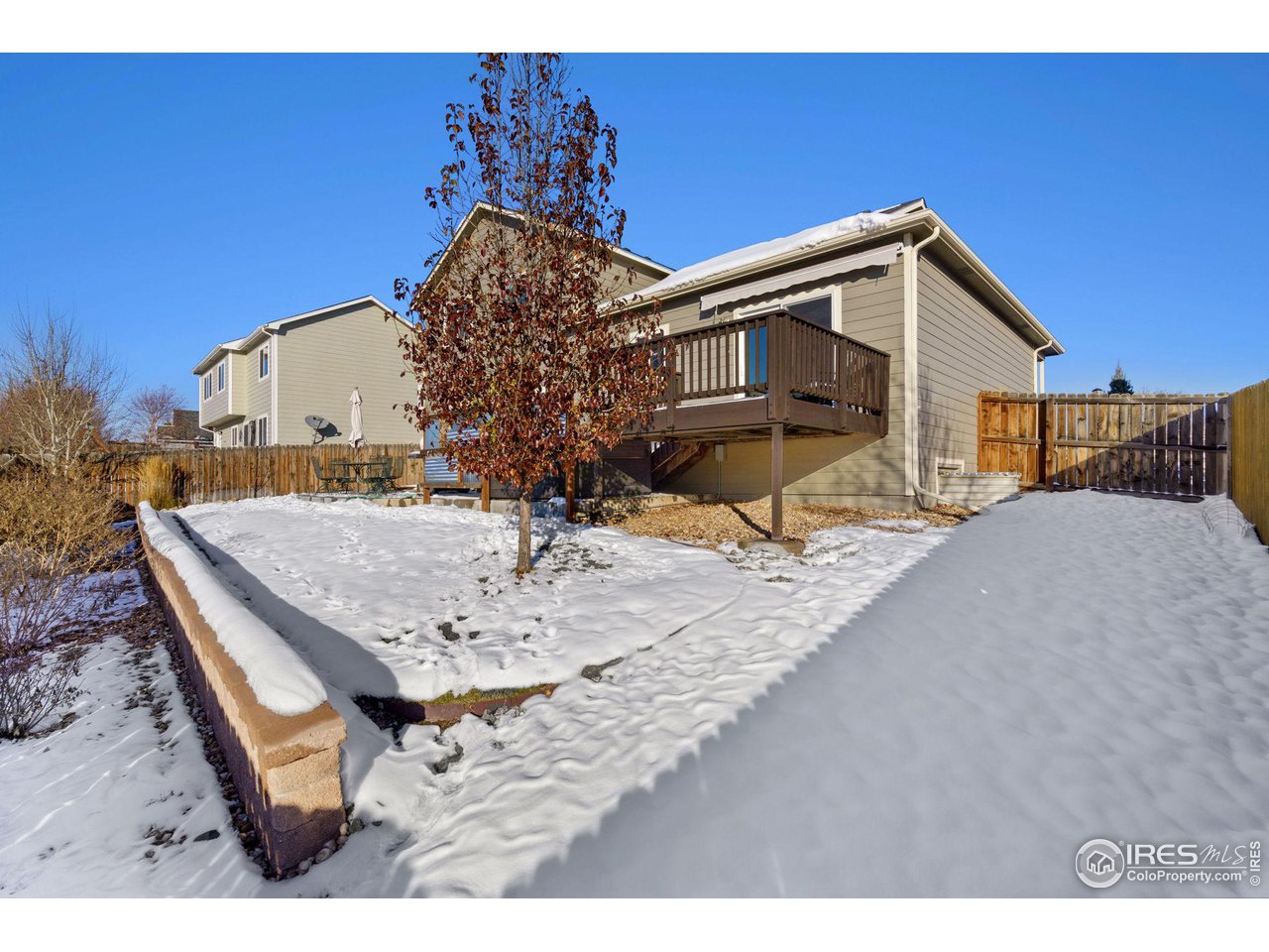 211 Windflower Way Severance, CO 80550 - Photo 23 of 27