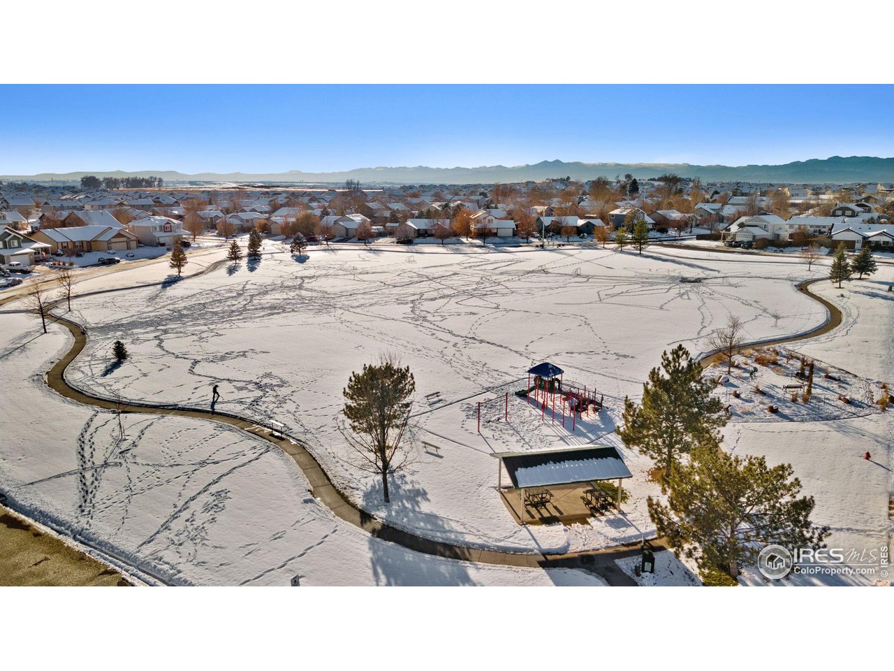 211 Windflower Way Severance, CO 80550 - Photo 27 of 27