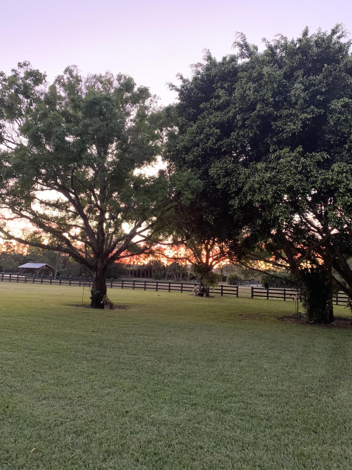 17270 Rocky Pines Road Jupiter, FL 33478 - Photo 69 of 69 IMG_7467