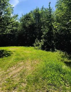 630 Springy Pond Road Ellsworth, ME 04605 - Photo 14 of 27 IMG_1222