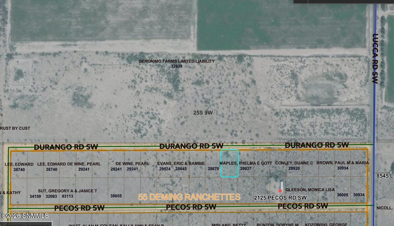 Tbd Southwest Tbd Sw Durango Road Deming, NM 88030 - Photo 9 of 9 parcel map for MLS