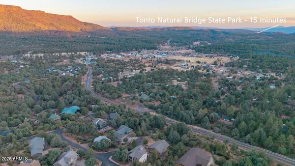 a view of a forest with mountains in the background