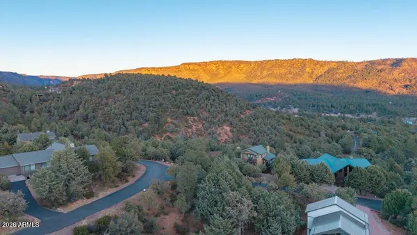 an aerial view of mountain with trees