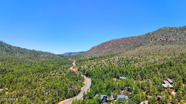 a view of a mountain range with a lush green forest