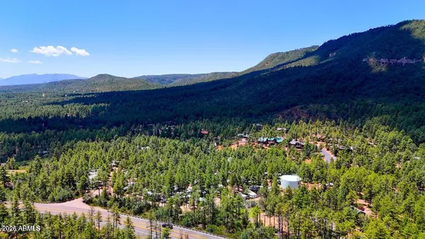 a view of a back yard