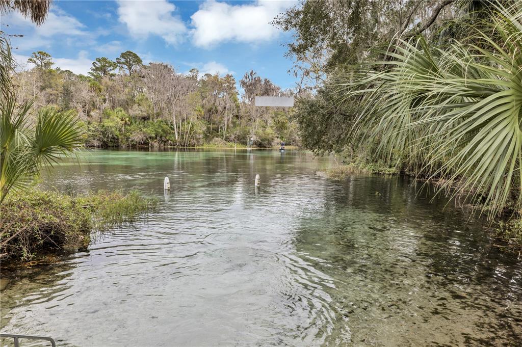 19438 Southwest 79th Street Dunnellon, FL 34432 - Photo 29 of 34 a view of a lake view