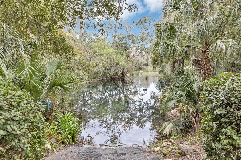 19438 Southwest 79th Street Dunnellon, FL 34432 - Photo 30 of 34 a view of a tree in a garden