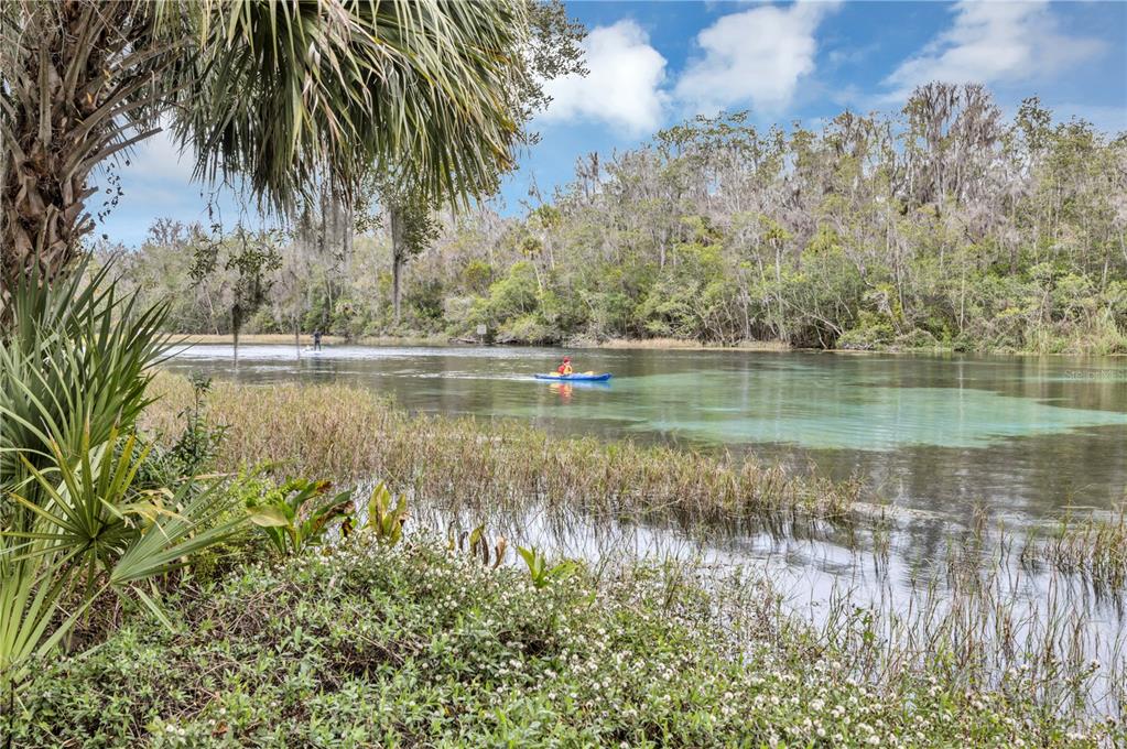 19438 Southwest 79th Street Dunnellon, FL 34432 - Photo 32 of 34 a view of lake with green space