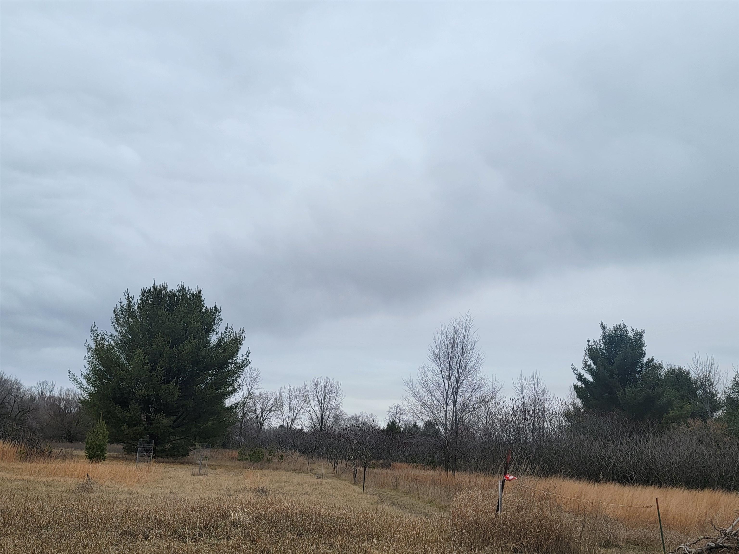 Sheridan Street, Unit 2 Oconto Falls, WI 54154 - Photo 3 of 3