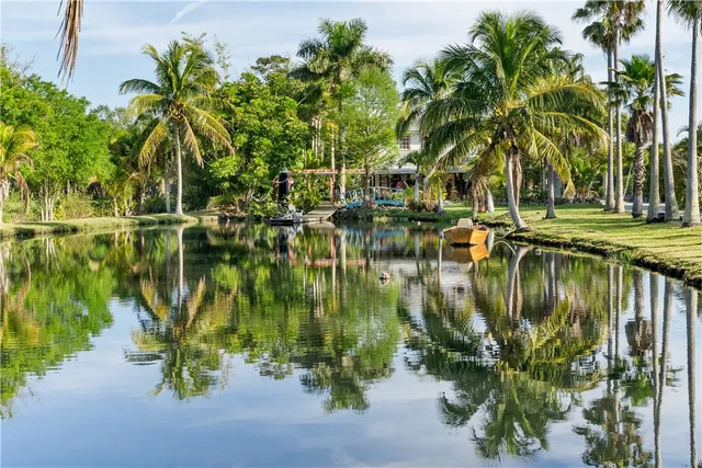 a view of a swimming pool with a yard and plants
