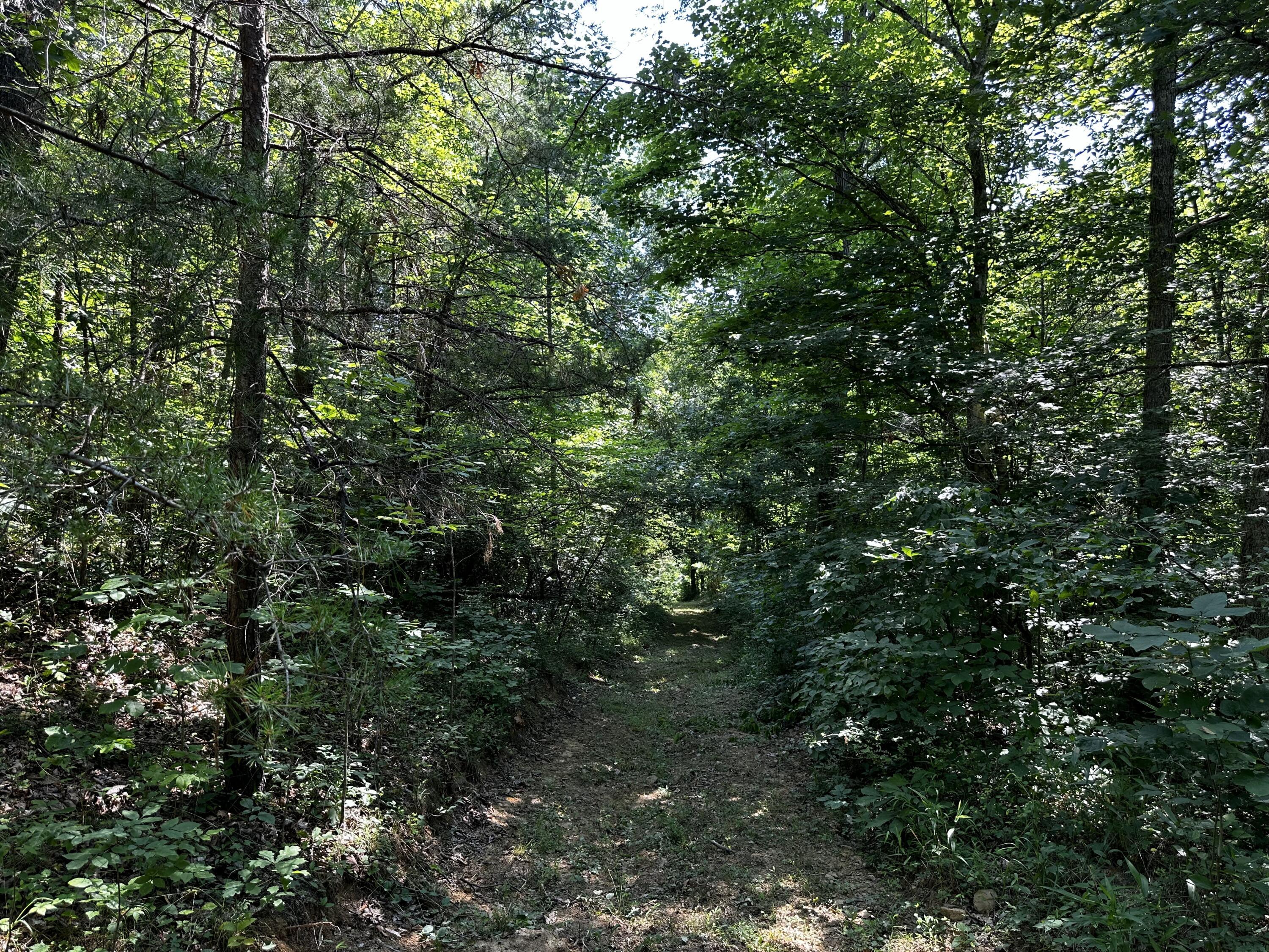 1101 Hull Road, Unit TRACT 9 WOODS WAYNE FOREST) Patriot, OH 45658 - Photo 25 of 61 20240621_150103196_iOS