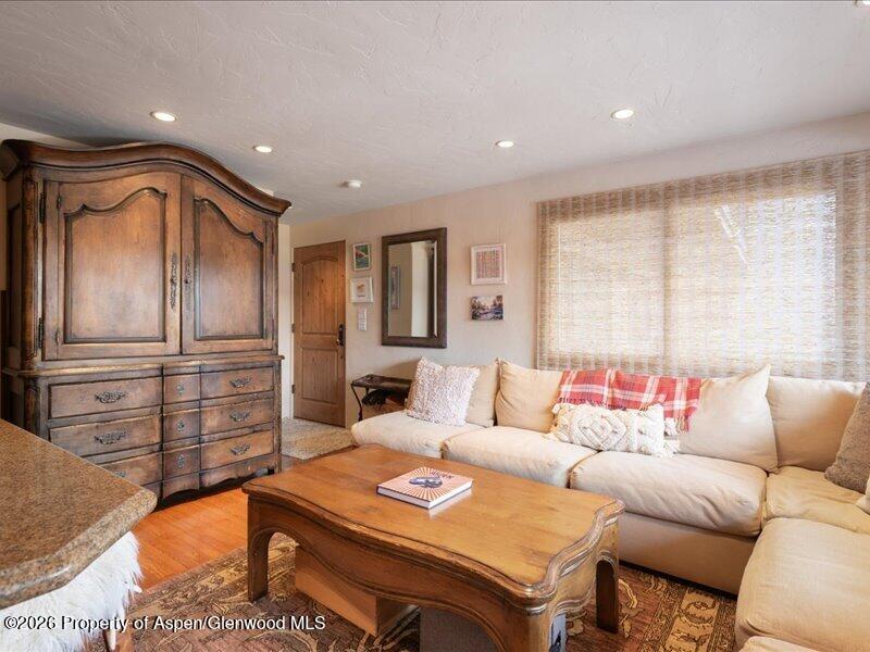 700 South Monarch Street, Unit 107 Aspen, CO 81611 - Photo 5 of 10 living