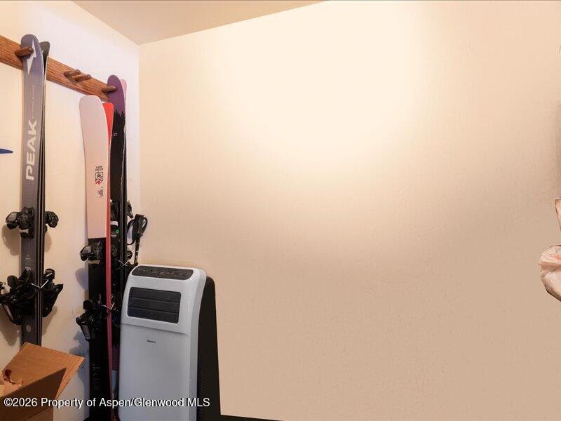 700 South Monarch Street, Unit 107 Aspen, CO 81611 - Photo 10 of 10 storage space