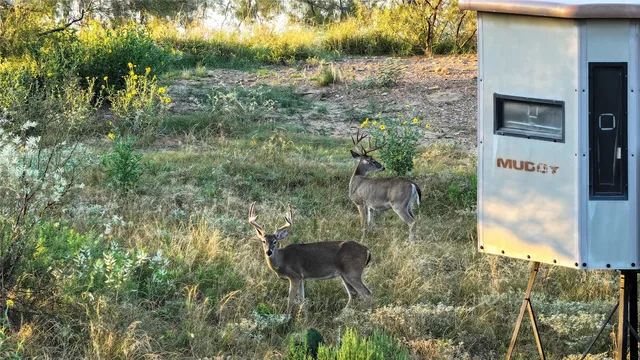 $1,095,000 | 392 County Road 230, San Saba, TX 76877
